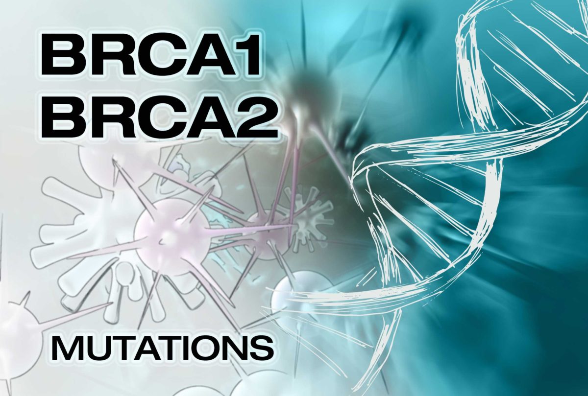 BRCA1 / BRCA2 / PALB2: formato PDF, Audio y Sólo texto (en construcción y modificación de errores)