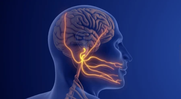 Informe Experto: El Abordaje Integral del Tratamiento de la Neuralgia del Trigémino